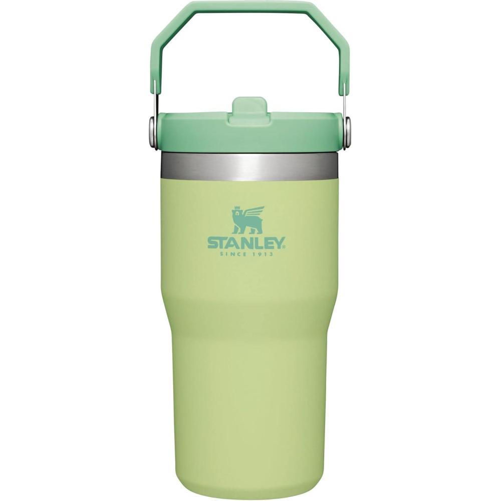 imageSTANLEY IceFlow 20 Flip Straw Tumbler with Handle 14 oz Twist On Lid and Flip Up Straw Leakproof Water Bottle Insulated Stainless Steel BPAFree AshCitron
