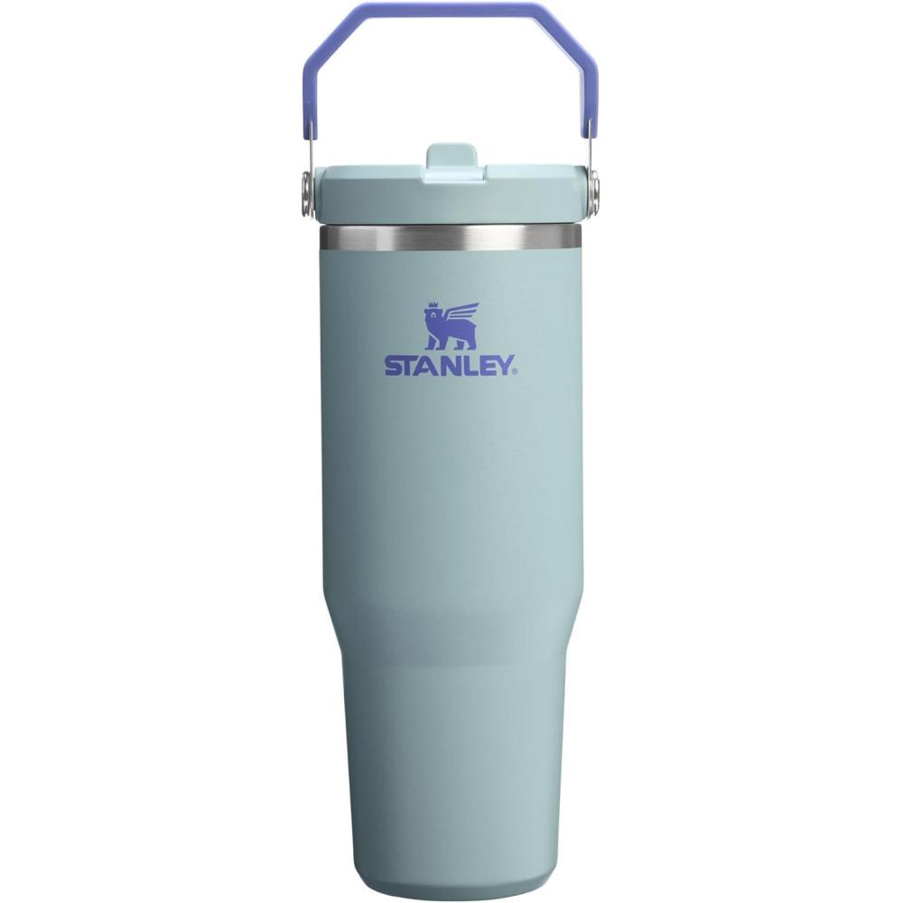 imageSTANLEY IceFlow 20 Flip Straw Tumbler with Handle 14 oz Twist On Lid and Flip Up Straw Leakproof Water Bottle Insulated Stainless Steel BPAFree AshExclusive Blue Catus
