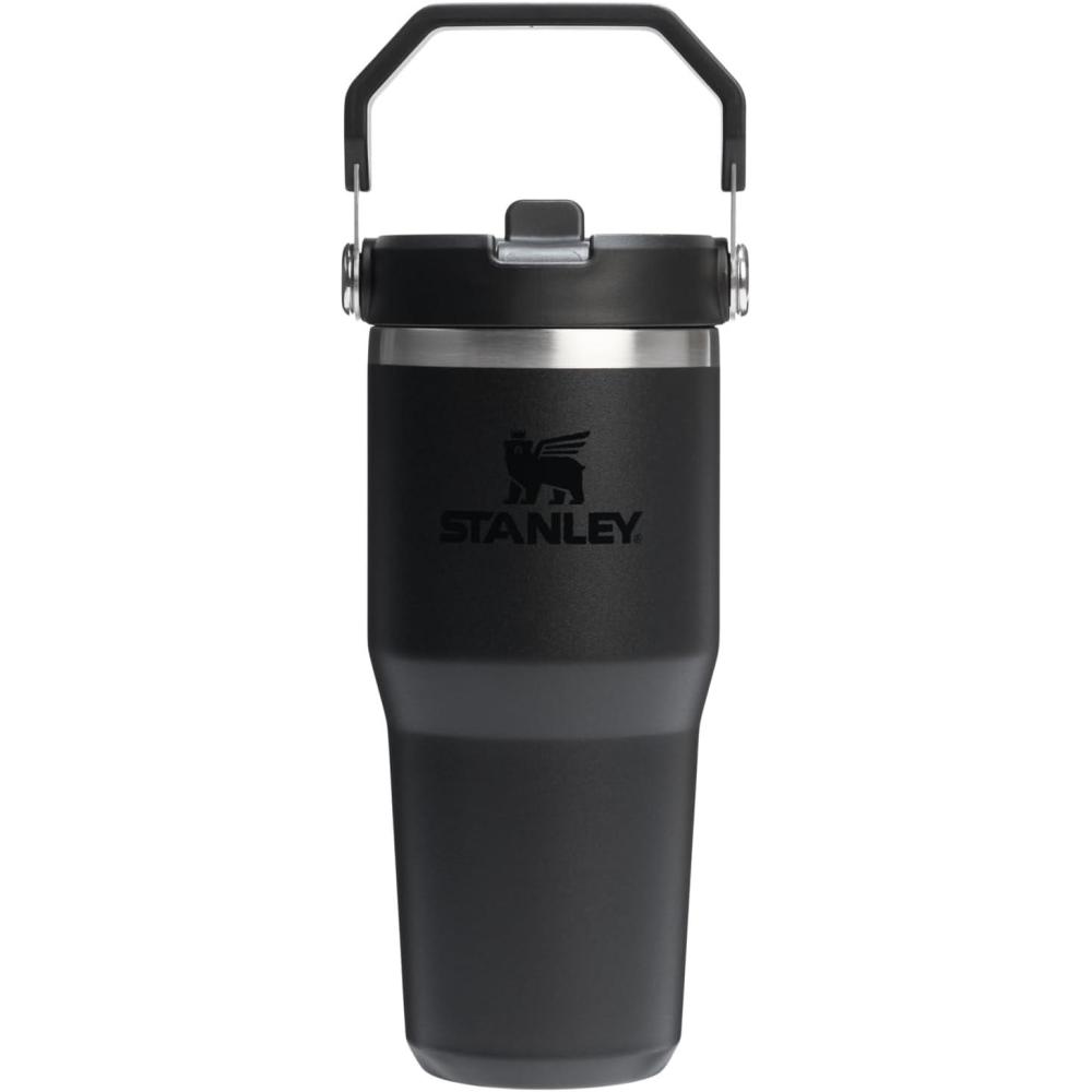 imageSTANLEY IceFlow 20 Flip Straw Tumbler with Handle 14 oz  Twist On Lid and Flip Up Straw  Leakproof Water Bottle  Insulated Stainless Steel  BPAFree  AshBlack 20