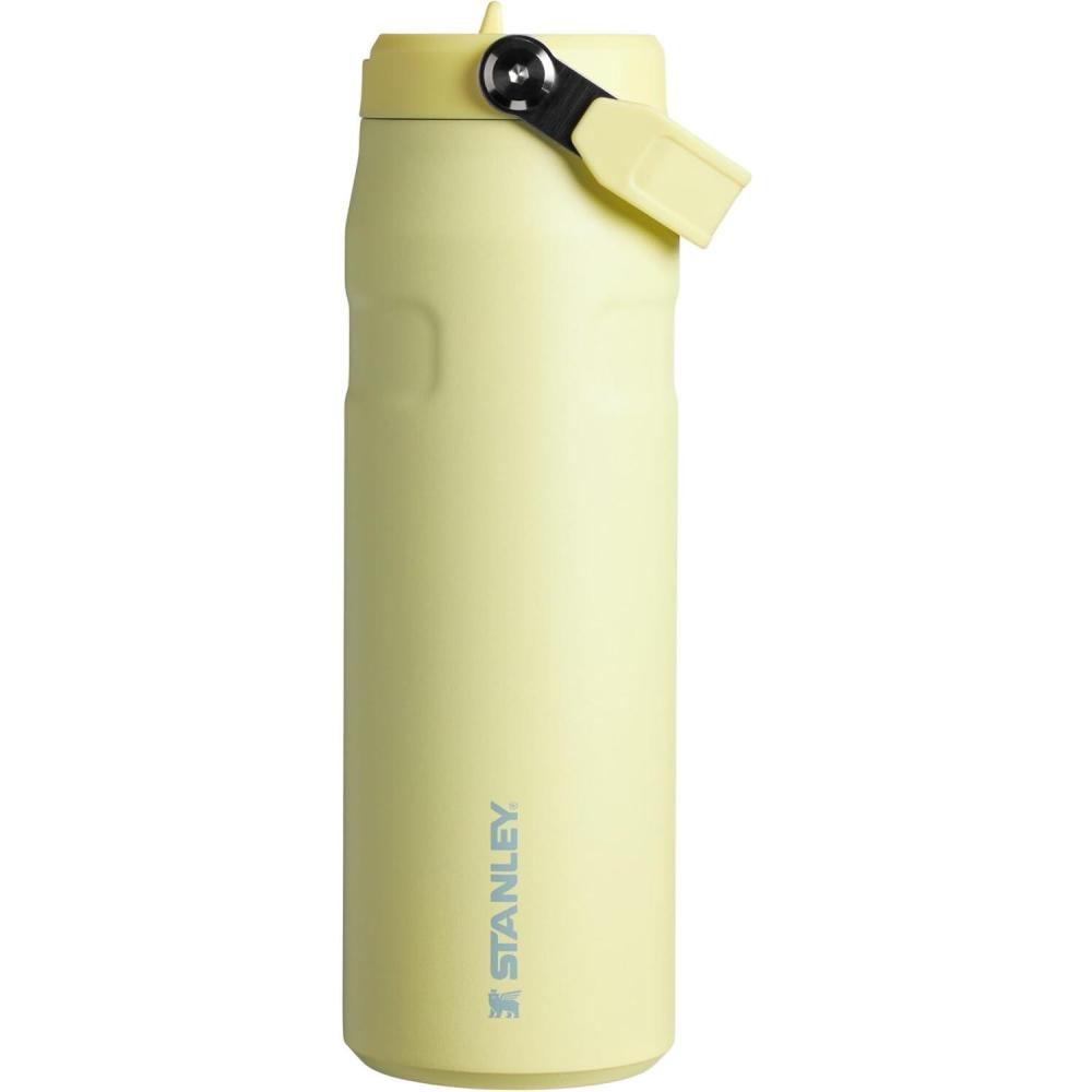 imageStanley IceFlow Flip Straw 20 Water Bottle 24 OZ  BuiltIn Straw with Larger Opening  Lightweight amp LeakResistant  Insulated Stainless Steel  BPAFree  Blue SkyPomelo