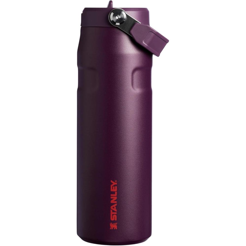 imageStanley IceFlow Flip Straw 20 Water Bottle 24 OZ BuiltIn Straw with Larger Opening Lightweight amp LeakResistant Insulated Stainless Steel BPAFree Blue SkyPlum
