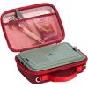STANLEY All Day Mini Lunch Box | 4.2-quart | EVA Insulated Lunch Bag | Crush Resistant | Adjustable Strap | BPA-Free | Sea Glass Plume(Cranberry)