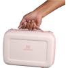 STANLEY All Day Mini Lunch Box | 4.2-quart | EVA Insulated Lunch Bag | Crush Resistant | Adjustable Strap | BPA-Free | Sea Glass Plume(Rose Quartz)