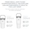 STANLEY IceFlow 2.0 Flip Straw Tumbler with Handle 14 oz | Twist On Lid and Flip Up Straw | Leakproof Water Bottle | Insulated Stainless Steel | BPA-Free | Ash(Alpine)