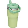 STANLEY IceFlow 2.0 Flip Straw Tumbler with Handle 14 oz | Twist On Lid and Flip Up Straw | Leakproof Water Bottle | Insulated Stainless Steel | BPA-Free | Ash(Citron)