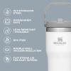 STANLEY IceFlow 2.0 Flip Straw Tumbler with Handle 14 oz | Twist On Lid and Flip Up Straw | Leakproof Water Bottle | Insulated Stainless Steel | BPA-Free | Ash(Citron)
