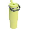 STANLEY IceFlow 2.0 Flip Straw Tumbler with Handle 14 oz | Twist On Lid and Flip Up Straw | Leakproof Water Bottle | Insulated Stainless Steel | BPA-Free | Ash(Prickly Pear)