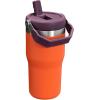 STANLEY IceFlow 2.0 Flip Straw Tumbler with Handle 14 oz | Twist On Lid and Flip Up Straw | Leakproof Water Bottle | Insulated Stainless Steel | BPA-Free | Ash(Tigerlily Plum)