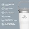 STANLEY IceFlow 2.0 Flip Straw Tumbler with Handle 14 oz | Twist On Lid and Flip Up Straw | Leakproof Water Bottle | Insulated Stainless Steel | BPA-Free | Ash(Alpine)