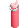 Stanley IceFlow Flip Straw 2.0 Water Bottle 24 OZ | Built-In Straw with Larger Opening | Lightweight & Leak-Resistant | Insulated Stainless Steel | BPA-Free | Blue Sky(Watermelon)