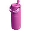 Stanley IceFlow Flip Straw 2.0 Water Bottle 24 OZ | Built-In Straw with Larger Opening | Lightweight & Leak-Resistant | Insulated Stainless Steel | BPA-Free | Blue Sky(Dark Blossom)