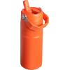 Stanley IceFlow Flip Straw 2.0 Water Bottle 24 OZ | Built-In Straw with Larger Opening | Lightweight & Leak-Resistant | Insulated Stainless Steel | BPA-Free | Blue Sky(Tigerlily Plum)