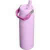 Stanley IceFlow Flip Straw 2.0 Water Bottle 24 OZ | Built-In Straw with Larger Opening | Lightweight & Leak-Resistant | Insulated Stainless Steel | BPA-Free | Blue Sky(Soft Orchid)