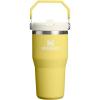 STANLEY IceFlow 2.0 Flip Straw Tumbler with Handle 14 oz | Twist On Lid and Flip Up Straw | Leakproof Water Bottle | Insulated Stainless Steel | BPA-Free | Ash(Daffodil)