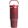 STANLEY IceFlow 2.0 Flip Straw Tumbler with Handle 14 oz | Twist On Lid and Flip Up Straw | Leakproof Water Bottle | Insulated Stainless Steel | BPA-Free | Ash(Cranberry)