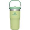 STANLEY IceFlow 2.0 Flip Straw Tumbler with Handle 14 oz | Twist On Lid and Flip Up Straw | Leakproof Water Bottle | Insulated Stainless Steel | BPA-Free | Ash(Citron)