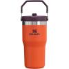 STANLEY IceFlow 2.0 Flip Straw Tumbler with Handle 14 oz | Twist On Lid and Flip Up Straw | Leakproof Water Bottle | Insulated Stainless Steel | BPA-Free | Ash(Tigerlily Plum)