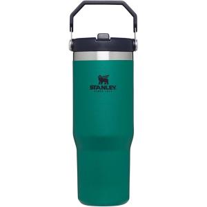 STANLEY IceFlow 2.0 Flip Straw Tumbler with Handle 14 oz | Twist On Lid and Flip Up Straw | Leakproof Water Bottle | Insulated Stainless Steel | BPA-Free | Ash(Tidepool)