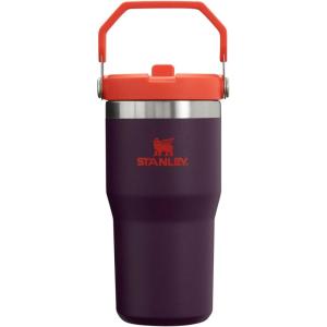 STANLEY IceFlow 2.0 Flip Straw Tumbler with Handle 14 oz | Twist On Lid and Flip Up Straw | Leakproof Water Bottle | Insulated Stainless Steel | BPA-Free | Ash(Plum)