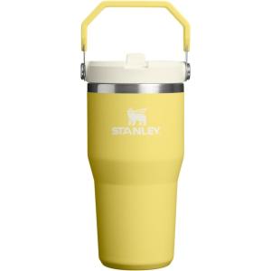 STANLEY IceFlow 2.0 Flip Straw Tumbler with Handle 14 oz | Twist On Lid and Flip Up Straw | Leakproof Water Bottle | Insulated Stainless Steel | BPA-Free | Ash(Daffodil)