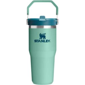 STANLEY IceFlow 2.0 Flip Straw Tumbler with Handle 14 oz | Twist On Lid and Flip Up Straw | Leakproof Water Bottle | Insulated Stainless Steel | BPA-Free | Ash(Spring Green)