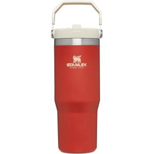 STANLEY IceFlow 2.0 Flip Straw Tumbler with Handle 14 oz | Twist On Lid and Flip Up Straw | Leakproof Water Bottle | Insulated Stainless Steel | BPA-Free | Ash(Carnelian)