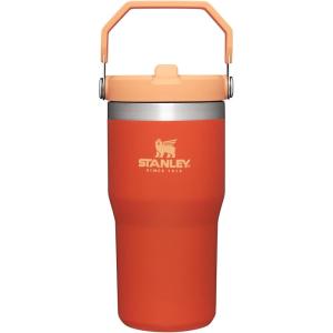 STANLEY IceFlow 2.0 Flip Straw Tumbler with Handle 14 oz | Twist On Lid and Flip Up Straw | Leakproof Water Bottle | Insulated Stainless Steel | BPA-Free | Ash(Tigerlily)