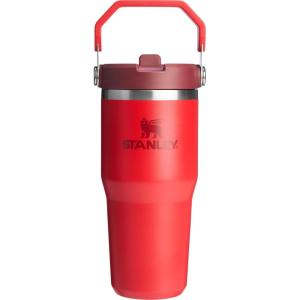 STANLEY IceFlow 2.0 Flip Straw Tumbler with Handle 14 oz | Twist On Lid and Flip Up Straw | Leakproof Water Bottle | Insulated Stainless Steel | BPA-Free | Ash(Chili Red)