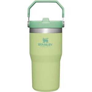 STANLEY IceFlow 2.0 Flip Straw Tumbler with Handle 14 oz | Twist On Lid and Flip Up Straw | Leakproof Water Bottle | Insulated Stainless Steel | BPA-Free | Ash(Citron)