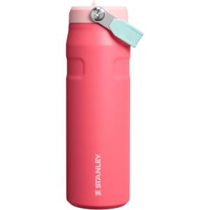 Stanley IceFlow Flip Straw 2.0 Water Bottle 24 OZ | Built-In Straw with Larger Opening | Lightweight & Leak-Resistant | Insulated Stainless Steel | BPA-Free | Blue Sky(Watermelon)