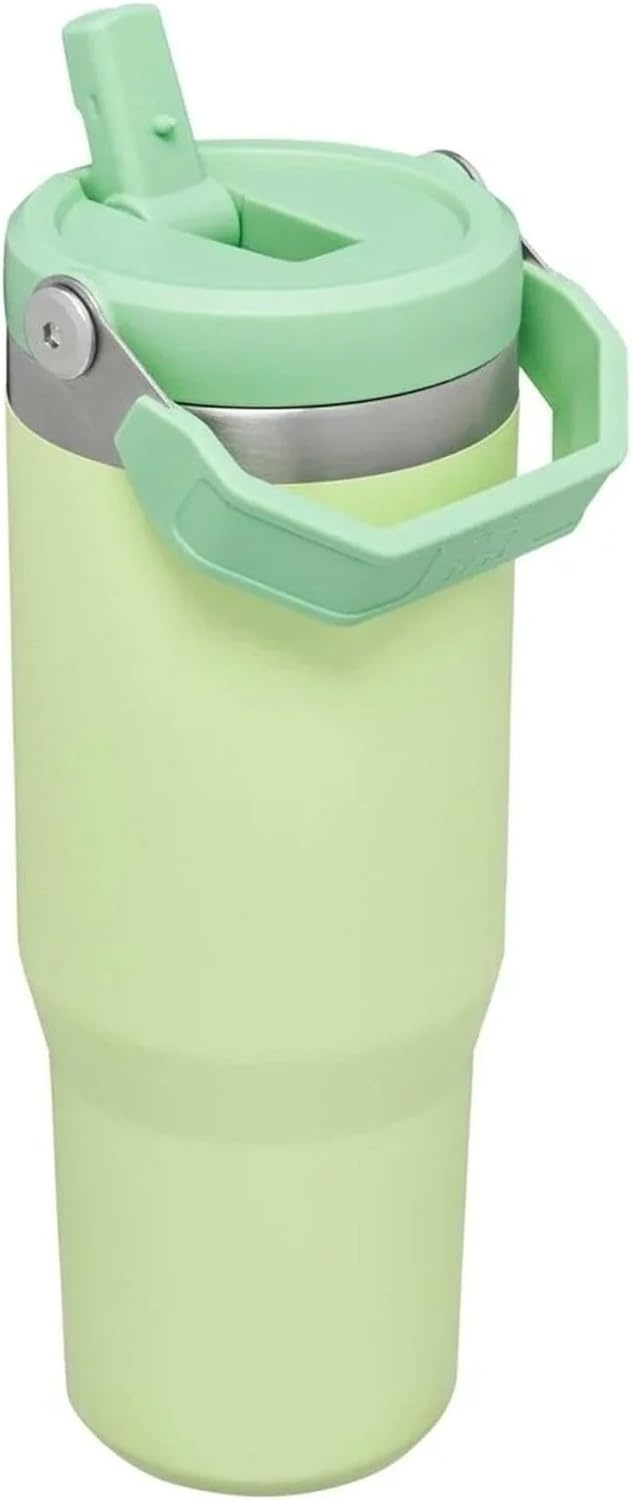 image:imageSTANLEY IceFlow 20 Flip Straw Tumbler with Handle 30 oz Twist On Lid and Flip Up Straw Leak Resistant Water Bottle Insulated Stainless Steel BPAFree Team Dark Green RedCitron