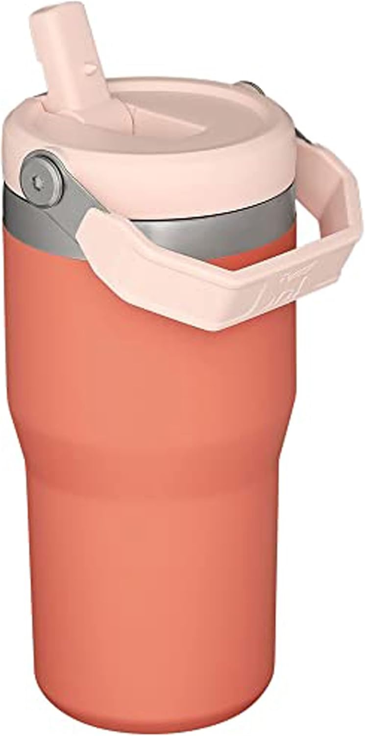 image:imageSTANLEY IceFlow 20 Flip Straw Tumbler with Handle 30 oz Twist On Lid and Flip Up Straw Leak Resistant Water Bottle Insulated Stainless Steel BPAFree Team Dark Green RedGrapefruit