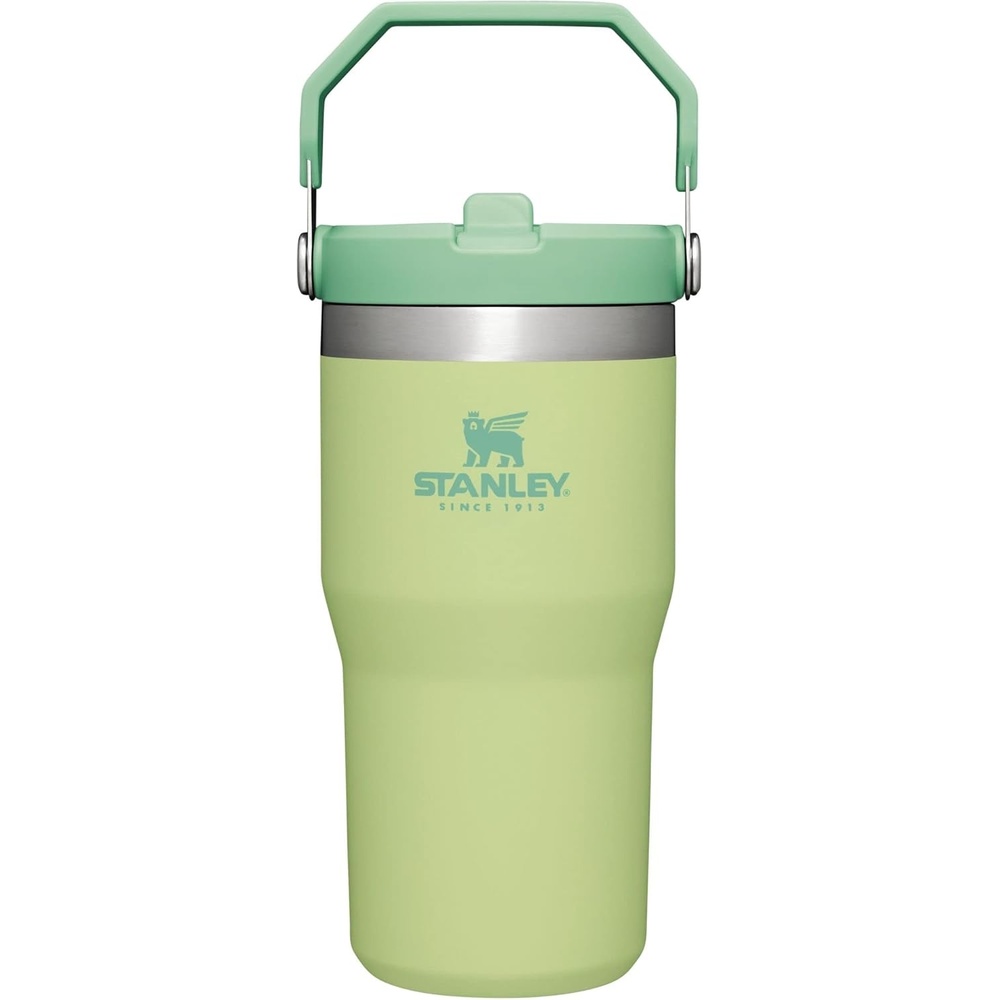 image:imageSTANLEY IceFlow 20 Flip Straw Tumbler with Handle 30 oz Twist On Lid and Flip Up Straw Leak Resistant Water Bottle Insulated Stainless Steel BPAFree Team Dark Green RedCitron