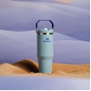 STANLEY IceFlow 2.0 Flip Straw Tumbler with Handle, 30 oz | Twist On Lid and Flip Up Straw | Leak Resistant Water Bottle | Insulated Stainless Steel | BPA-Free | Team Dark Green Red(Exclusive Blue Catus)