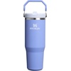STANLEY IceFlow 2.0 Flip Straw Tumbler with Handle, 30 oz | Twist On Lid and Flip Up Straw | Leak Resistant Water Bottle | Insulated Stainless Steel | BPA-Free | Team Dark Green Red(Hydrangea)
