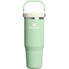 STANLEY IceFlow 2.0 Flip Straw Tumbler with Handle, 30 oz | Twist On Lid and Flip Up Straw | Leak Resistant Water Bottle | Insulated Stainless Steel | BPA-Free | Team Dark Green Red(Pistachio)