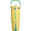 STANLEY IceFlow 2.0 Flip Straw Tumbler with Handle, 30 oz | Twist On Lid and Flip Up Straw | Leak Resistant Water Bottle | Insulated Stainless Steel | BPA-Free | Team Dark Green Red(Team Yellow Green)