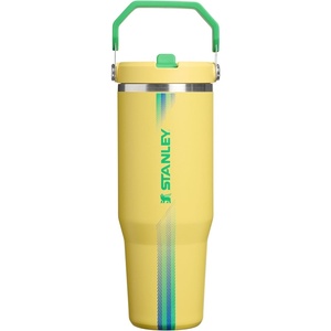 STANLEY IceFlow 2.0 Flip Straw Tumbler with Handle, 30 oz | Twist On Lid and Flip Up Straw | Leak Resistant Water Bottle | Insulated Stainless Steel | BPA-Free | Team Dark Green Red(Team Yellow Green)