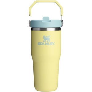 STANLEY IceFlow 2.0 Flip Straw Tumbler with Handle, 30 oz | Twist On Lid and Flip Up Straw | Leak Resistant Water Bottle | Insulated Stainless Steel | BPA-Free | Team Dark Green Red(Pomelo)