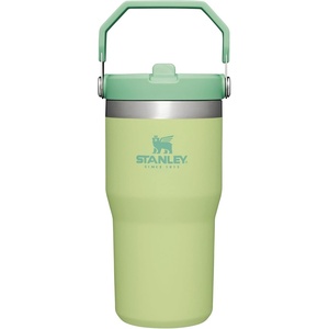 STANLEY IceFlow 2.0 Flip Straw Tumbler with Handle, 30 oz | Twist On Lid and Flip Up Straw | Leak Resistant Water Bottle | Insulated Stainless Steel | BPA-Free | Team Dark Green Red(Citron)