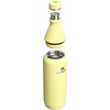 Stanley All Day Slim Bottle 20 oz | Twist On Lid with Leakproof Seal | Slim Design for Travel & Gym | Insulated Stainless Steel | BPA-Free | Blue Sky Gloss(Pomelo Gloss)