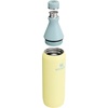 Stanley All Day Slim Bottle 20 oz | Twist On Lid with Leakproof Seal | Slim Design for Travel & Gym | Insulated Stainless Steel | BPA-Free | Dawn Drift(Pomelo)