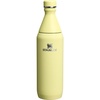 Stanley All Day Slim Bottle 20 oz | Twist On Lid with Leakproof Seal | Slim Design for Travel & Gym | Insulated Stainless Steel | BPA-Free | Blue Sky Gloss(Pomelo Gloss)