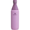 Stanley All Day Slim Bottle 20 oz | Twist On Lid with Leakproof Seal | Slim Design for Travel & Gym | Insulated Stainless Steel | BPA-Free | Blue Sky Gloss(Lilac)