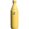 Stanley All Day Slim Bottle 20 oz | Twist On Lid with Leakproof Seal | Slim Design for Travel & Gym | Insulated Stainless Steel | BPA-Free | Peach Rose Gloss(Daffodil Gloss)