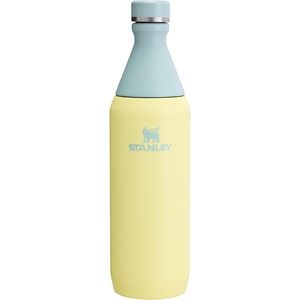 Stanley All Day Slim Bottle 20 oz | Twist On Lid with Leakproof Seal | Slim Design for Travel & Gym | Insulated Stainless Steel | BPA-Free | Blue Sky Gloss(Pomelo)