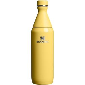 Stanley All Day Slim Bottle 20 oz | Twist On Lid with Leakproof Seal | Slim Design for Travel & Gym | Insulated Stainless Steel | BPA-Free | Blue Sky Gloss(Daffodil Gloss)