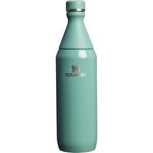 Stanley All Day Slim Bottle 20 oz | Twist On Lid with Leakproof Seal | Slim Design for Travel & Gym | Insulated Stainless Steel | BPA-Free | Blue Sky Gloss(Spring Green Gloss)