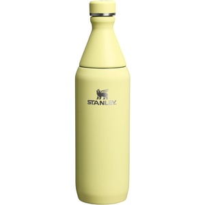 Stanley All Day Slim Bottle 20 oz | Twist On Lid with Leakproof Seal | Slim Design for Travel & Gym | Insulated Stainless Steel | BPA-Free | Blue Sky Gloss(Pomelo Gloss)