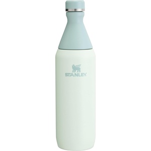 Stanley All Day Slim Bottle 20 oz | Twist On Lid with Leakproof Seal | Slim Design for Travel & Gym | Insulated Stainless Steel | BPA-Free | Blue Sky Gloss(Mist)